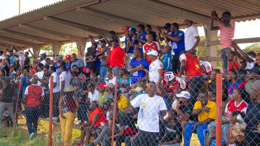 fans fans