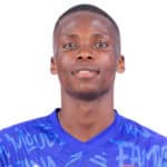 Reginald Chinemo